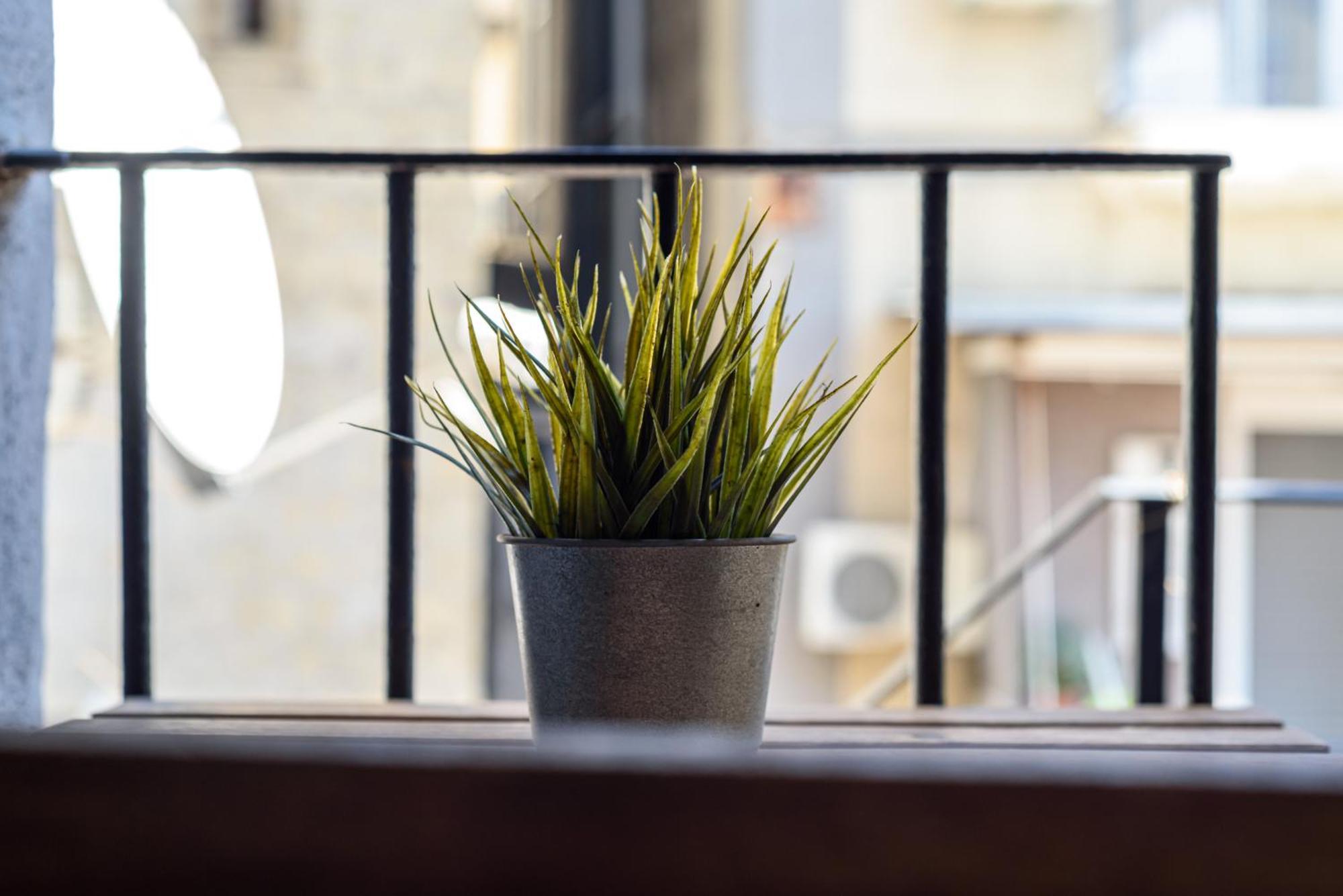 La Terrazzina Sul Porto Apartment Napoli Exterior foto